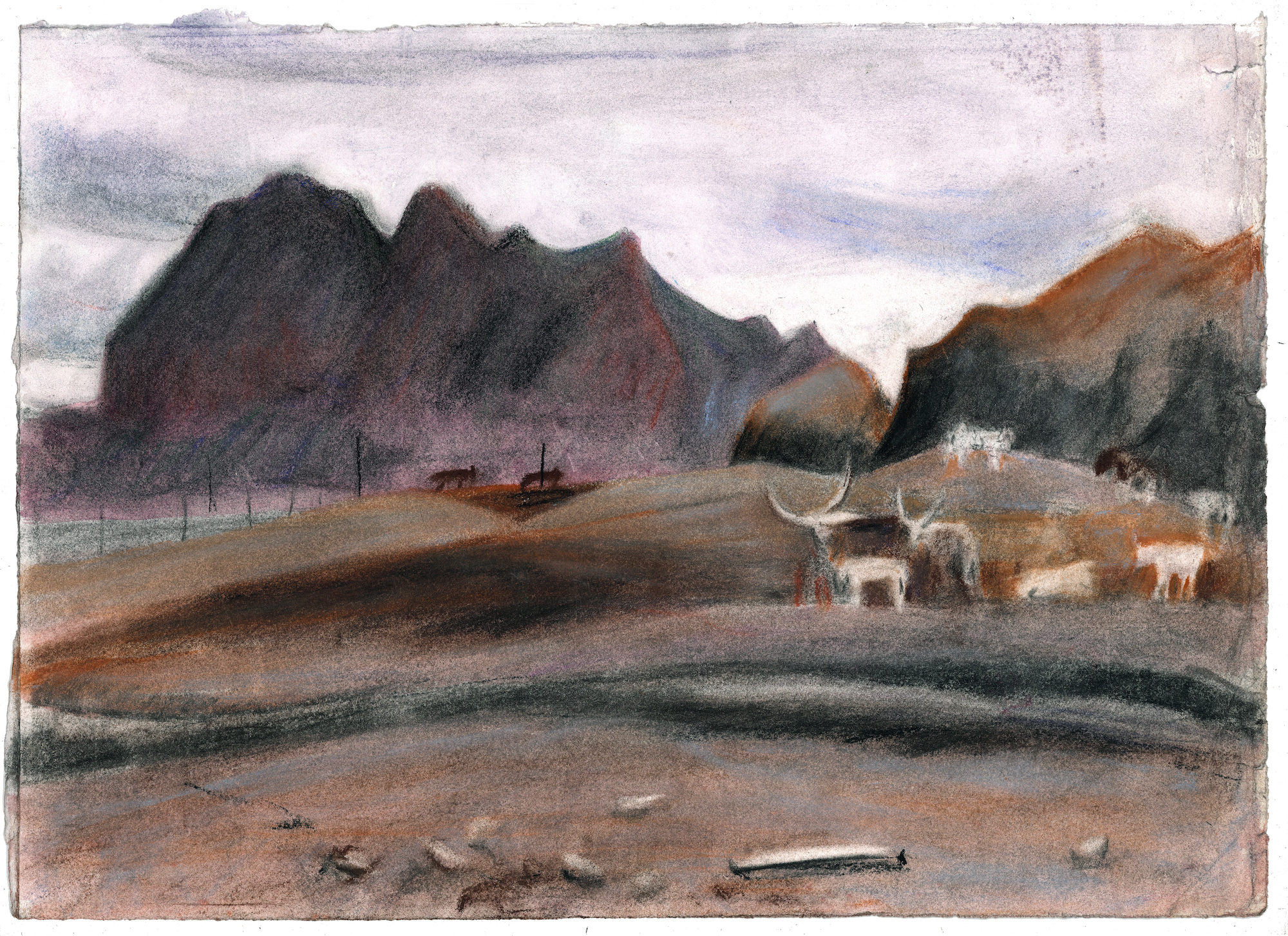 Our Longhorn Loves, 15x22_, charcoal, soft pastel and ink watercolor paper, 2025, AVAILABLE
